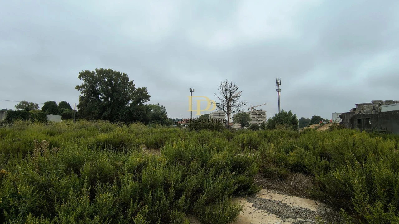 Terreno Agricola ou Rústico para Arrendamento em Paranhos Foto 8