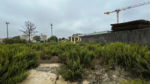 Terreno Agricola ou Rústico para Arrendamento em Paranhos