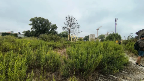 Terreno Agricola ou Rústico para Arrendamento em Paranhos