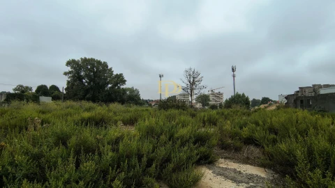 Terreno Agricola ou Rústico para Arrendamento em Paranhos