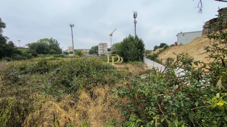 Terreno Agricola ou Rústico para Arrendamento em Paranhos Foto 6