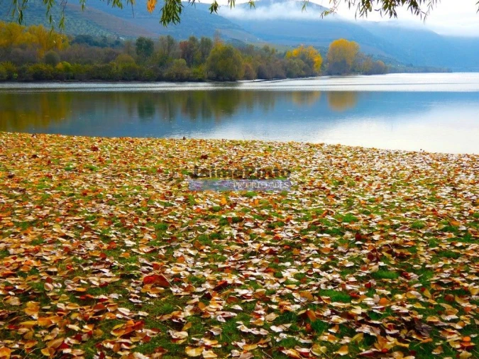 Quinta T10 para Venda em Vila Nova de Foz Côa Foto 3