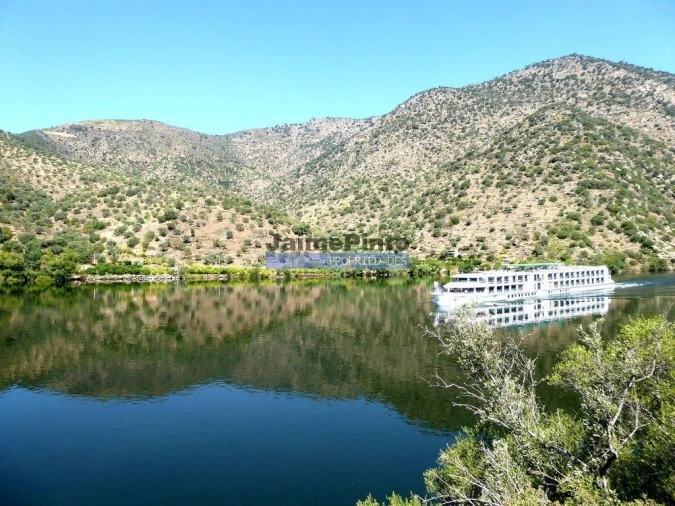 Quinta T10 para Venda em Vila Nova de Foz Côa Foto 4