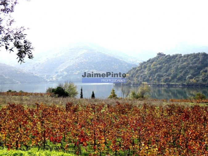 Quinta T10 para Venda em Vila Nova de Foz Côa Foto 9