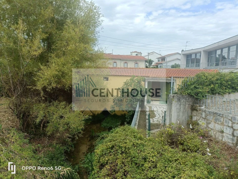 Loja para Venda em Ançã Foto 14