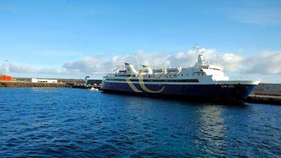 Moradia T9 para Venda em São Roque do Pico Foto 16