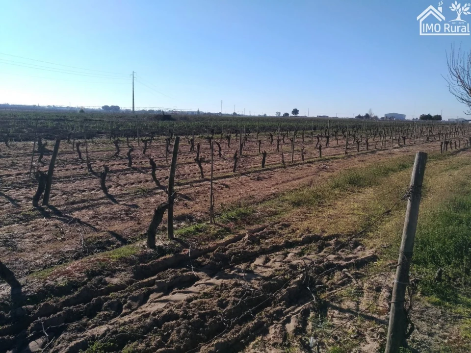 Terreno para Venda em Benfica do Ribatejo Foto 17