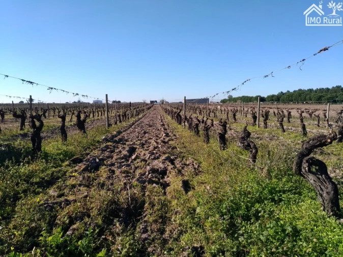 Terreno para Venda em Benfica do Ribatejo Foto 22