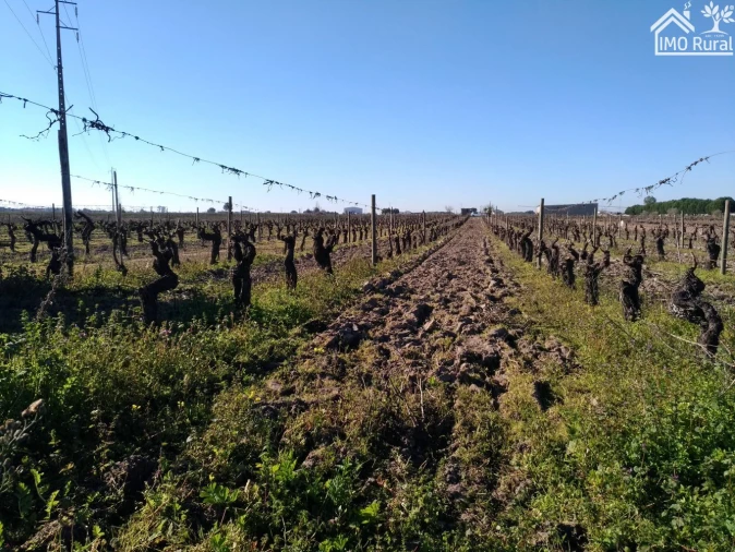 Terreno para Venda em Benfica do Ribatejo Foto 23