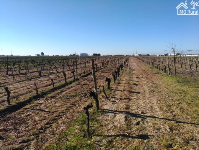 Terreno para Venda em Benfica do Ribatejo Foto 4