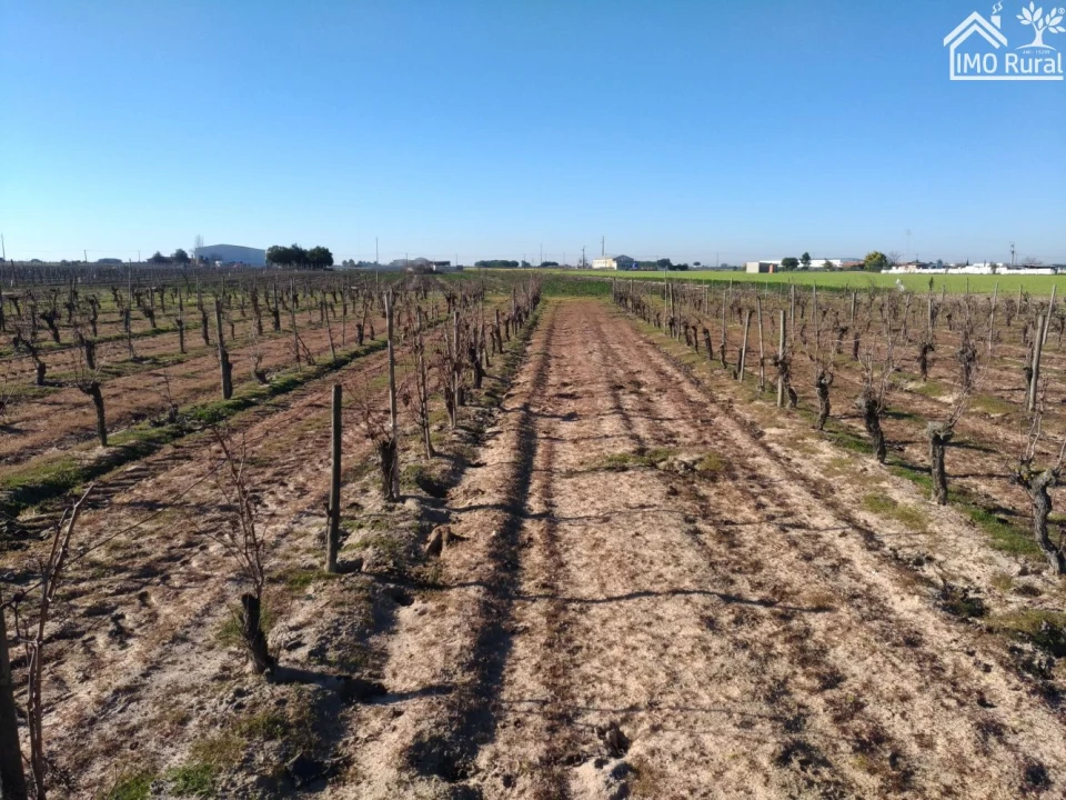 Terreno para Venda em Benfica do Ribatejo Foto 1