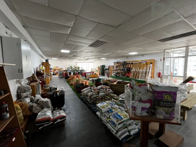 Loja para Arrendamento em Ponte do Rol Foto 16