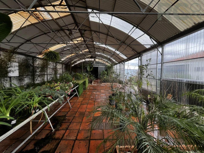 Loja para Arrendamento em Ponte do Rol Foto 22