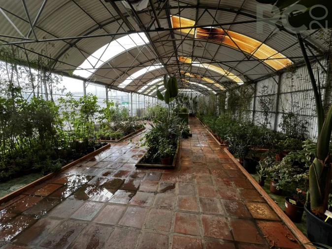 Loja para Arrendamento em Ponte do Rol Foto 21