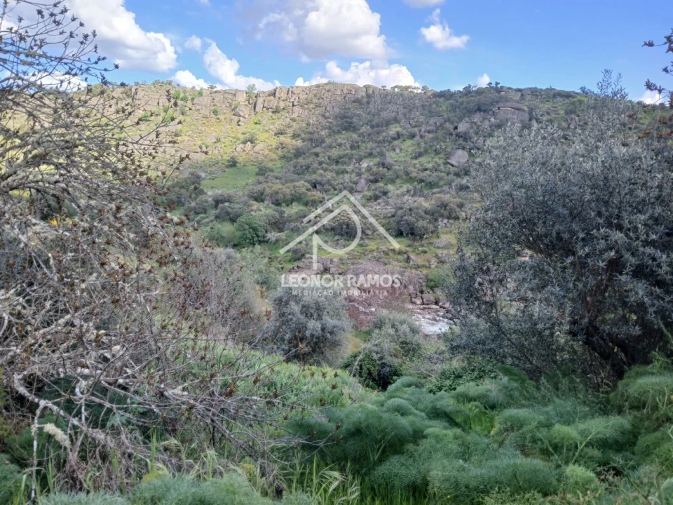 Terreno para Venda em Zebreira e Segura Foto 19