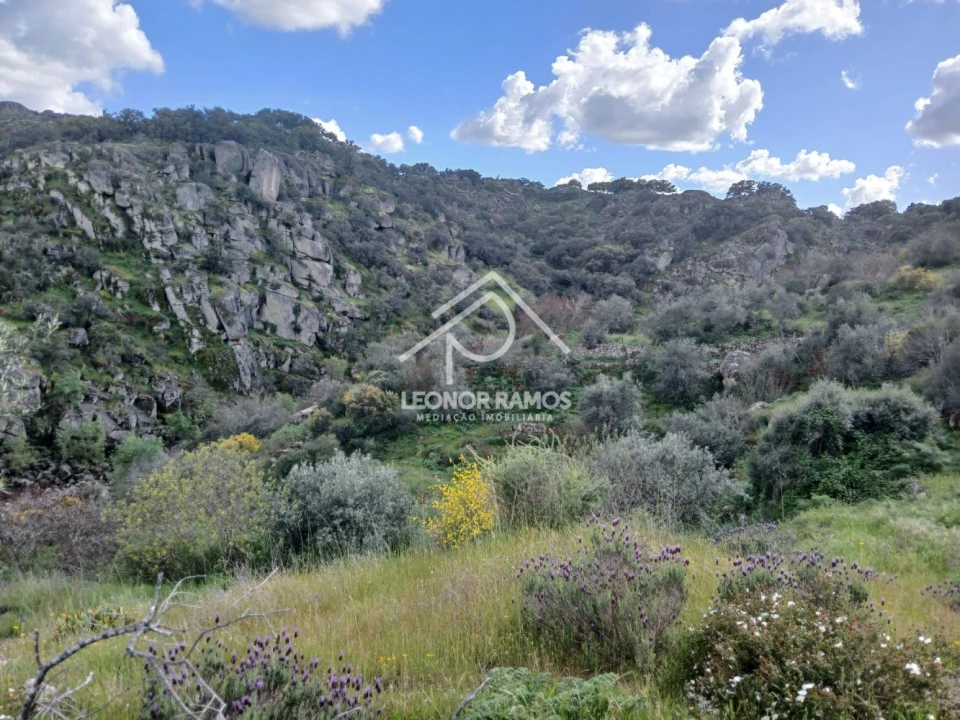 Terreno para Venda em Zebreira e Segura Foto 7