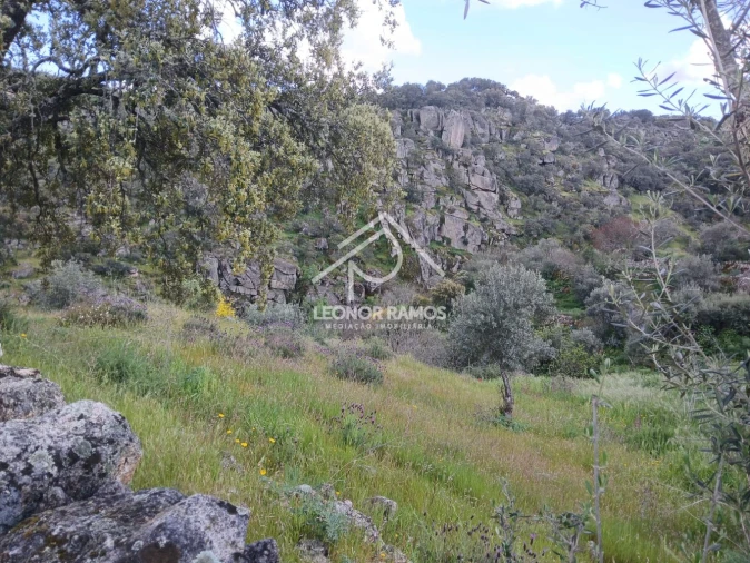Terreno para Venda em Zebreira e Segura Foto 8