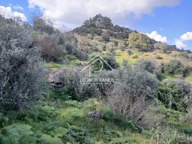 Terreno para Venda em Zebreira e Segura Foto 24