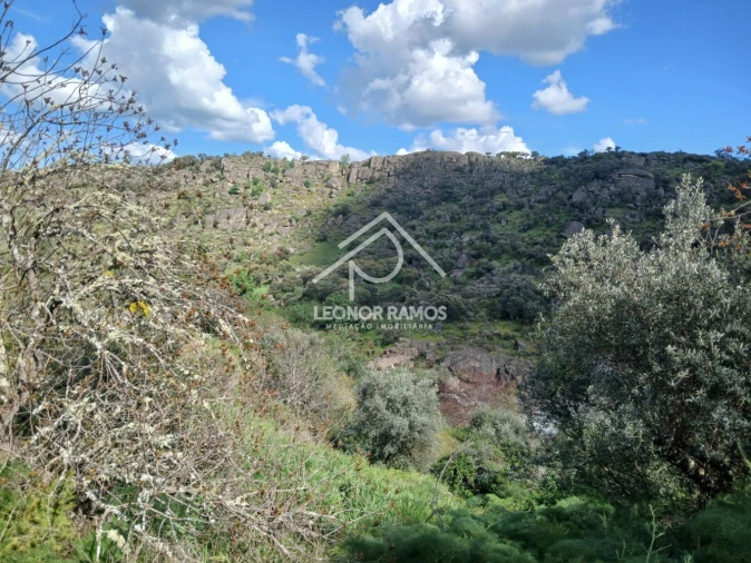 Terreno para Venda em Zebreira e Segura Foto 17