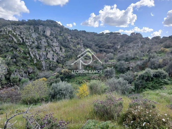Terreno para Venda em Zebreira e Segura Foto 7