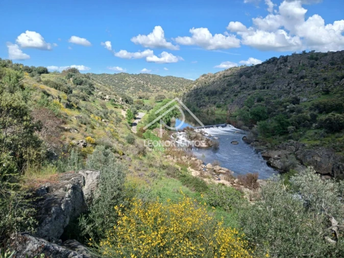 Terreno para Venda em Zebreira e Segura Foto 23