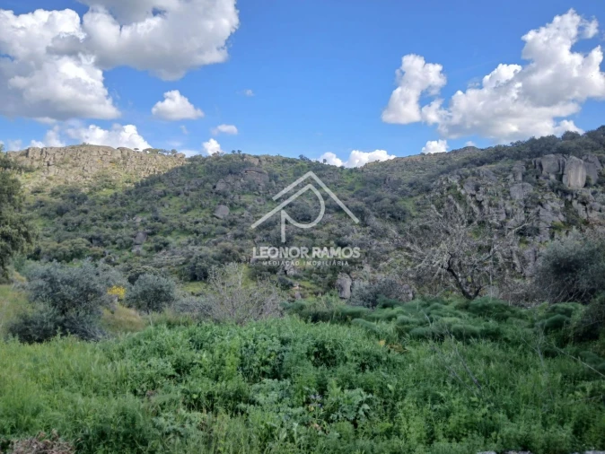 Terreno para Venda em Zebreira e Segura Foto 11