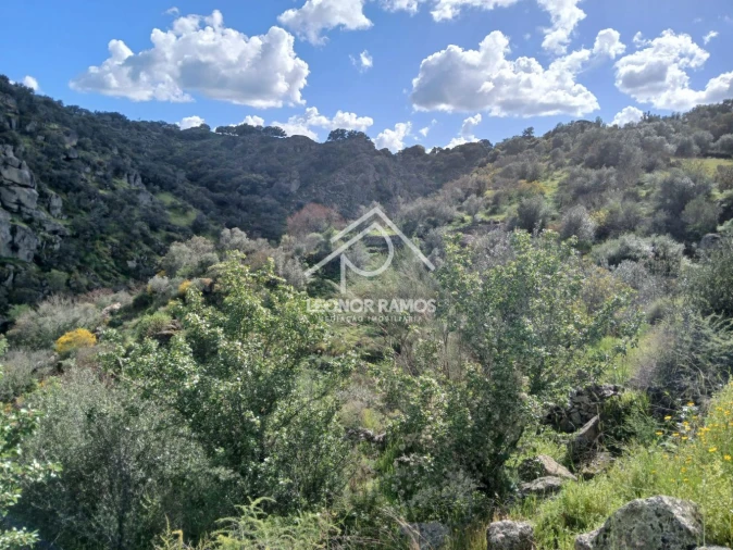 Terreno para Venda em Zebreira e Segura Foto 3