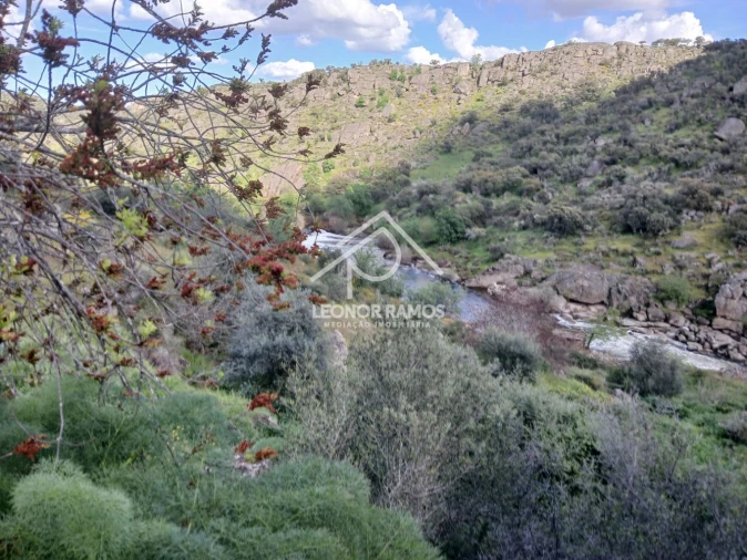 Terreno para Venda em Zebreira e Segura Foto 18
