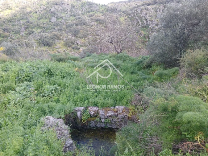 Terreno para Venda em Zebreira e Segura Foto 14