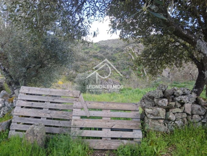 Terreno para Venda em Zebreira e Segura Foto 10
