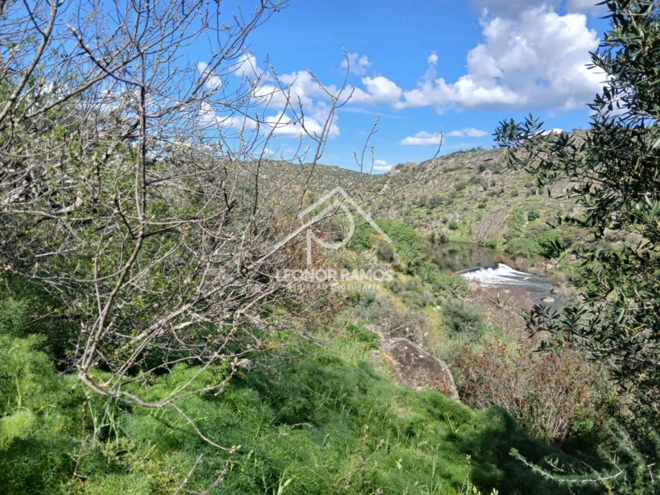 Terreno para Venda em Zebreira e Segura Foto 21