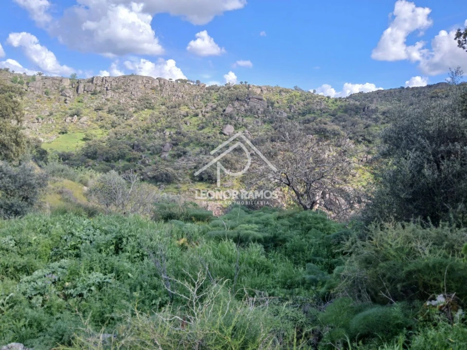 Terreno para Venda em Zebreira e Segura Foto 15