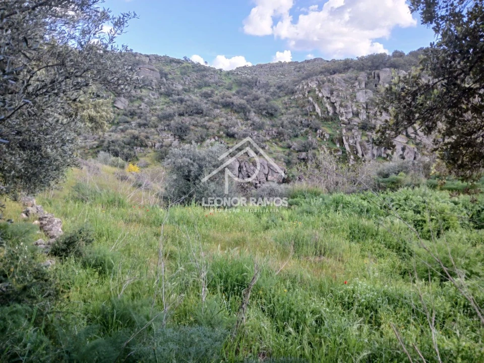 Terreno para Venda em Zebreira e Segura Foto 9