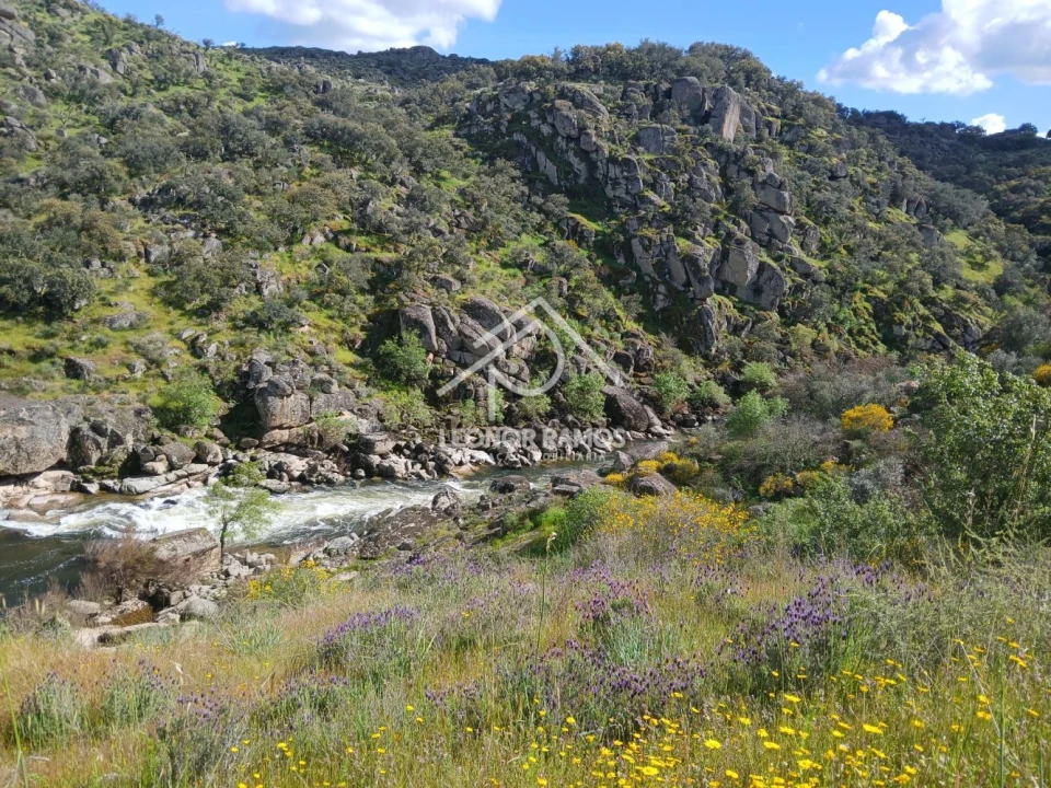 Terreno para Venda em Zebreira e Segura Foto 2