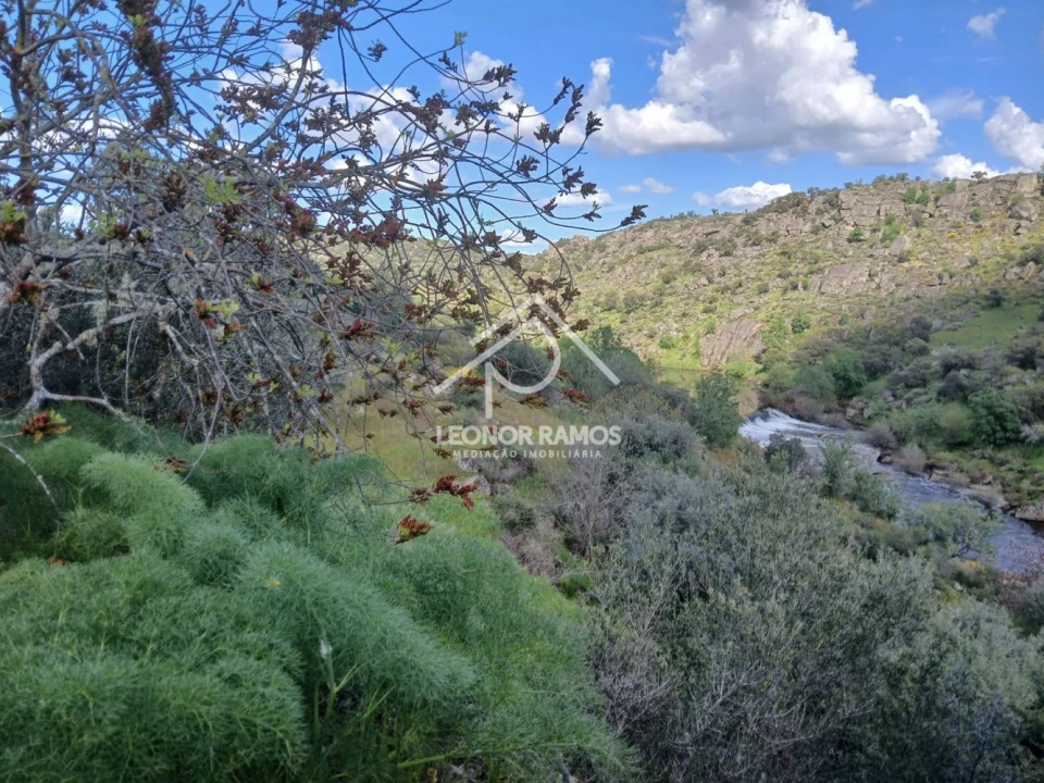 Terreno para Venda em Zebreira e Segura Foto 20