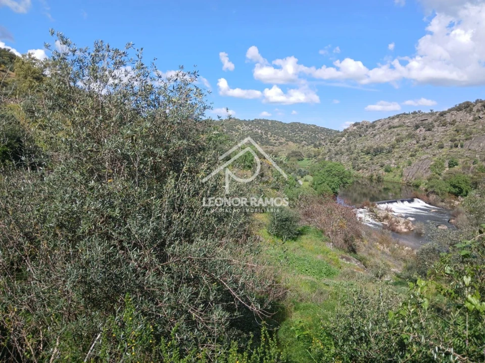 Terreno para Venda em Zebreira e Segura Foto 22
