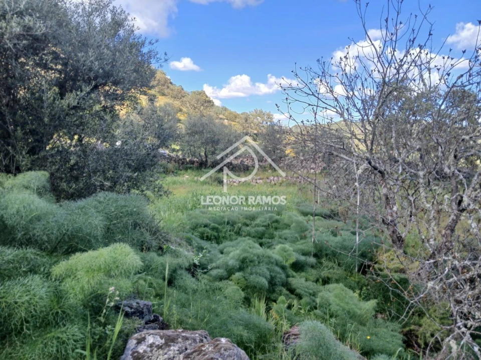 Terreno para Venda em Zebreira e Segura Foto 16