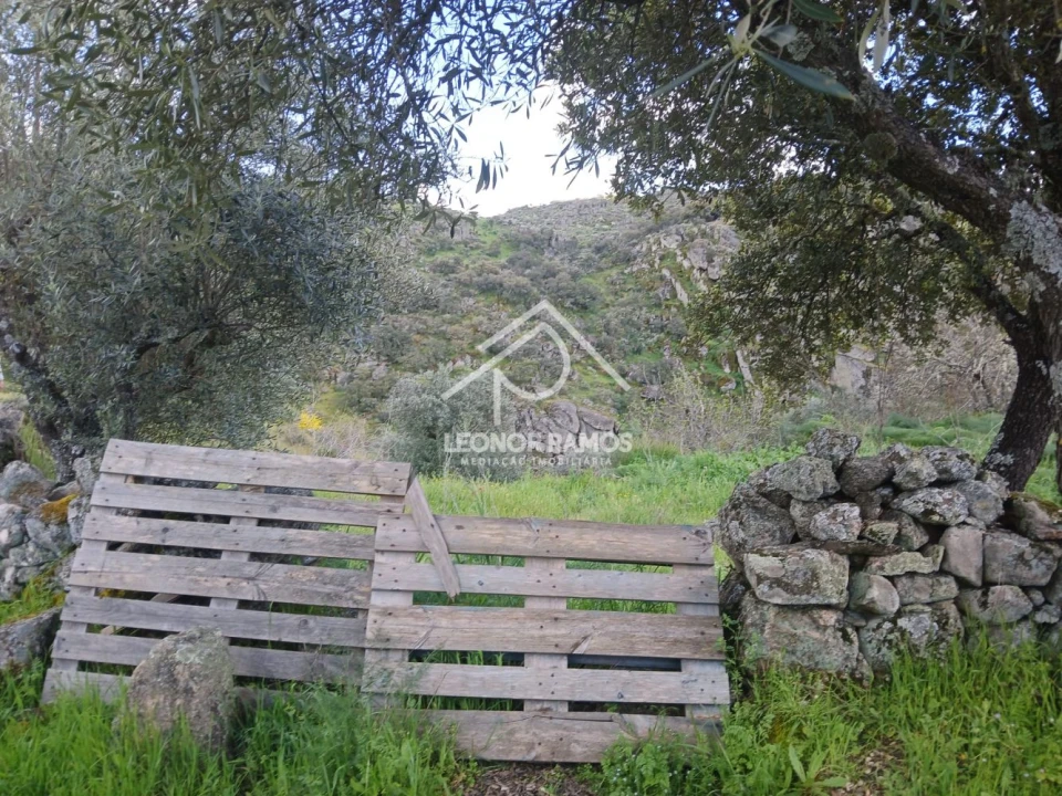 Terreno para Venda em Zebreira e Segura Foto 10