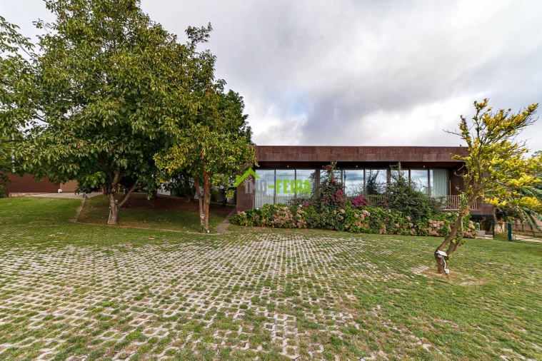 Quinta T10 para Venda em São Miguel do Souto e Mosteirô Foto 20