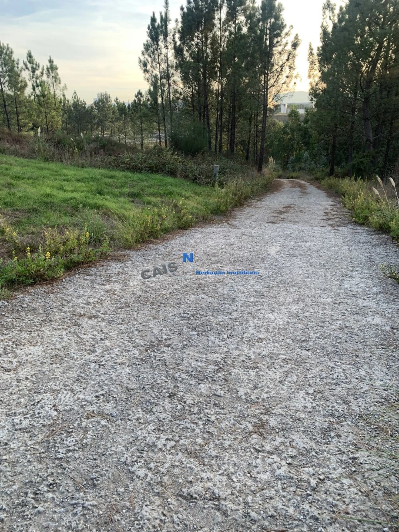 Terreno para Venda em Gandra Foto 4