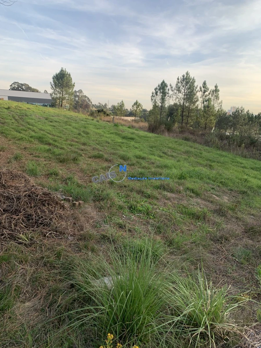 Terreno para Venda em Gandra Foto 6