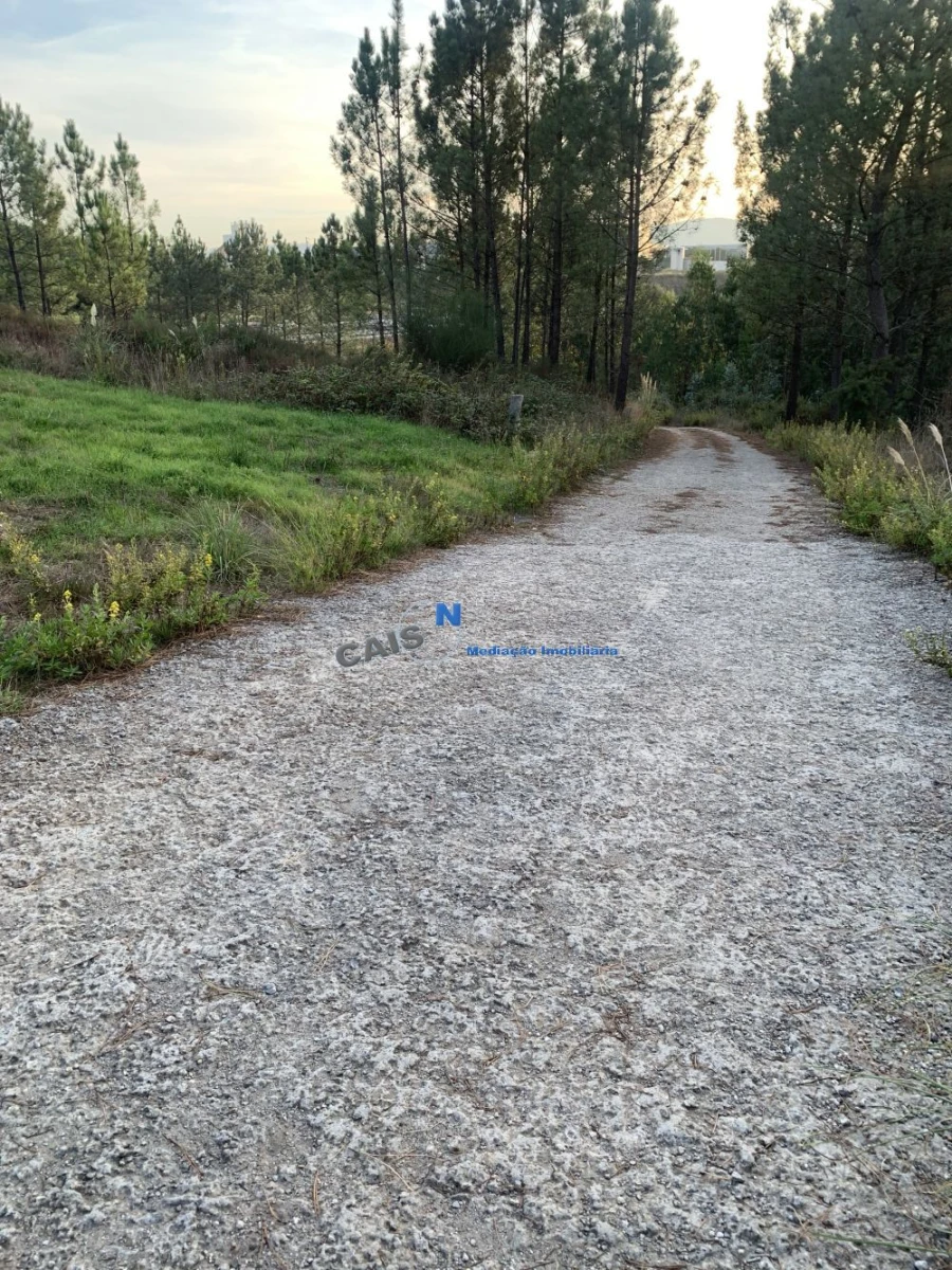 Terreno para Venda em Gandra Foto 4