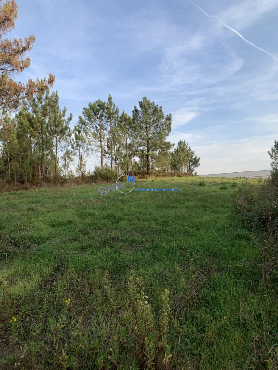 Terreno para Venda em Gandra Foto 5
