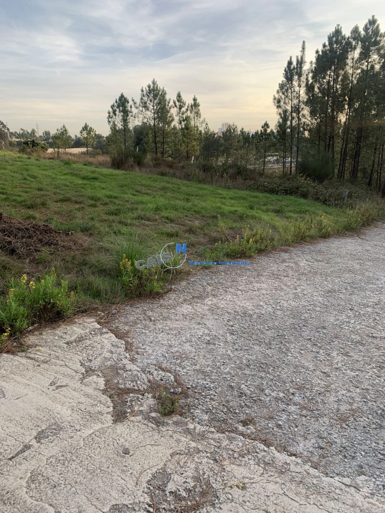 Terreno para Venda em Gandra Foto 2