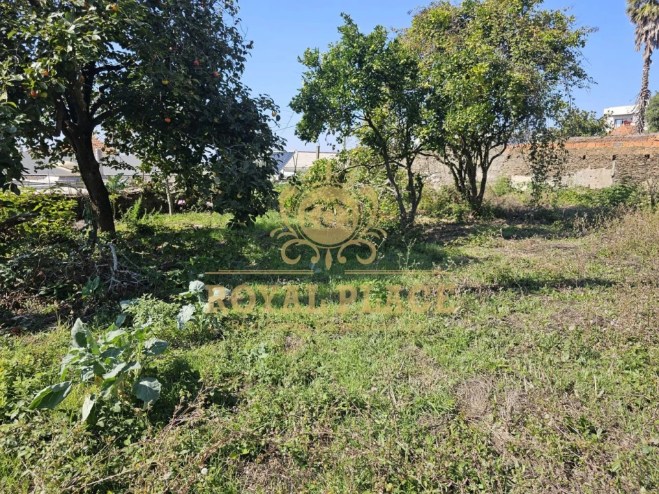 Moradia T3 para Venda em Cortegaça Foto 13