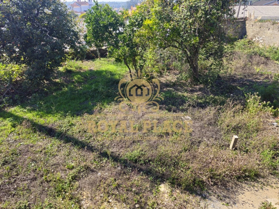 Moradia T3 para Venda em Cortegaça Foto 18