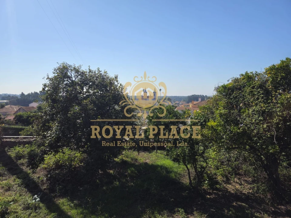 Moradia T3 para Venda em Cortegaça Foto 25