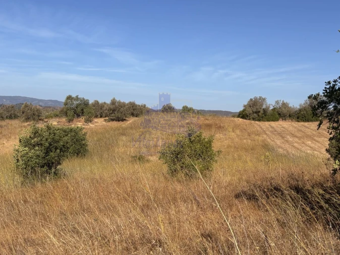 Terreno para Venda em Silves Foto 10