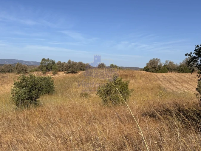 Terreno para Venda em Silves Foto 7