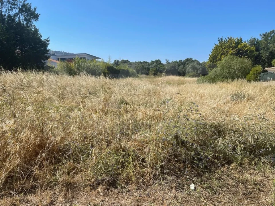 Terreno para Venda em Santa Maria e São Miguel, São Martinho, São Pedro Penaferrim Foto 2